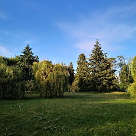 Entire Forest Home Near Nature & Amenities Surrey Exterior photo