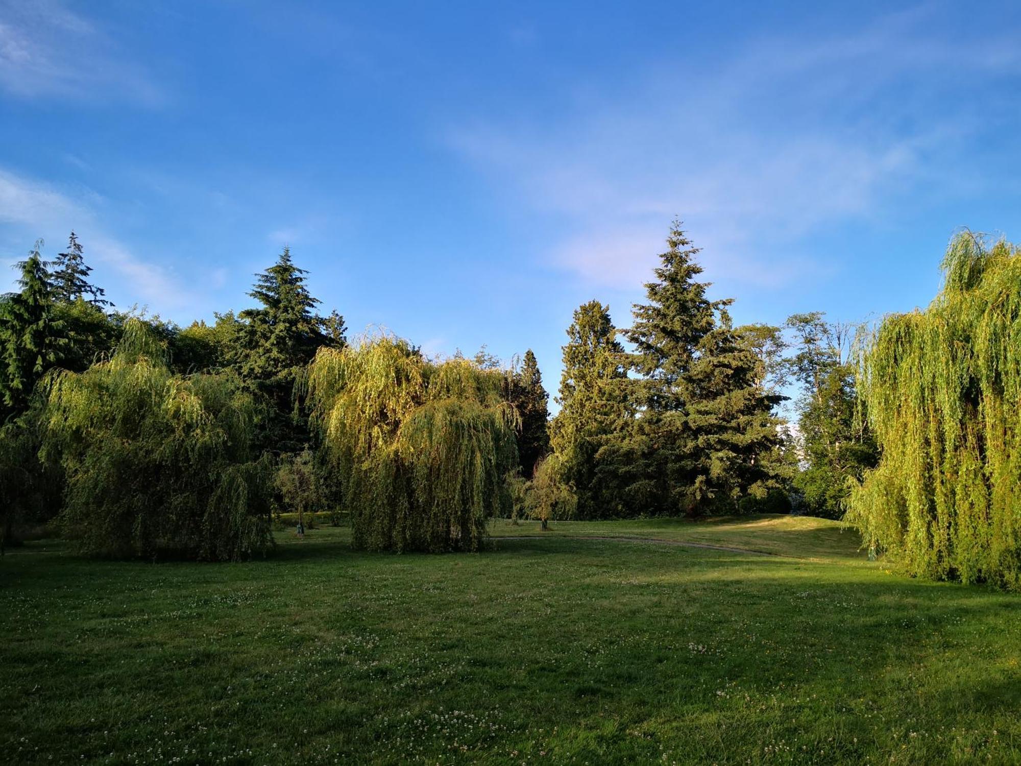 Entire Forest Home Near Nature & Amenities Surrey Exterior photo